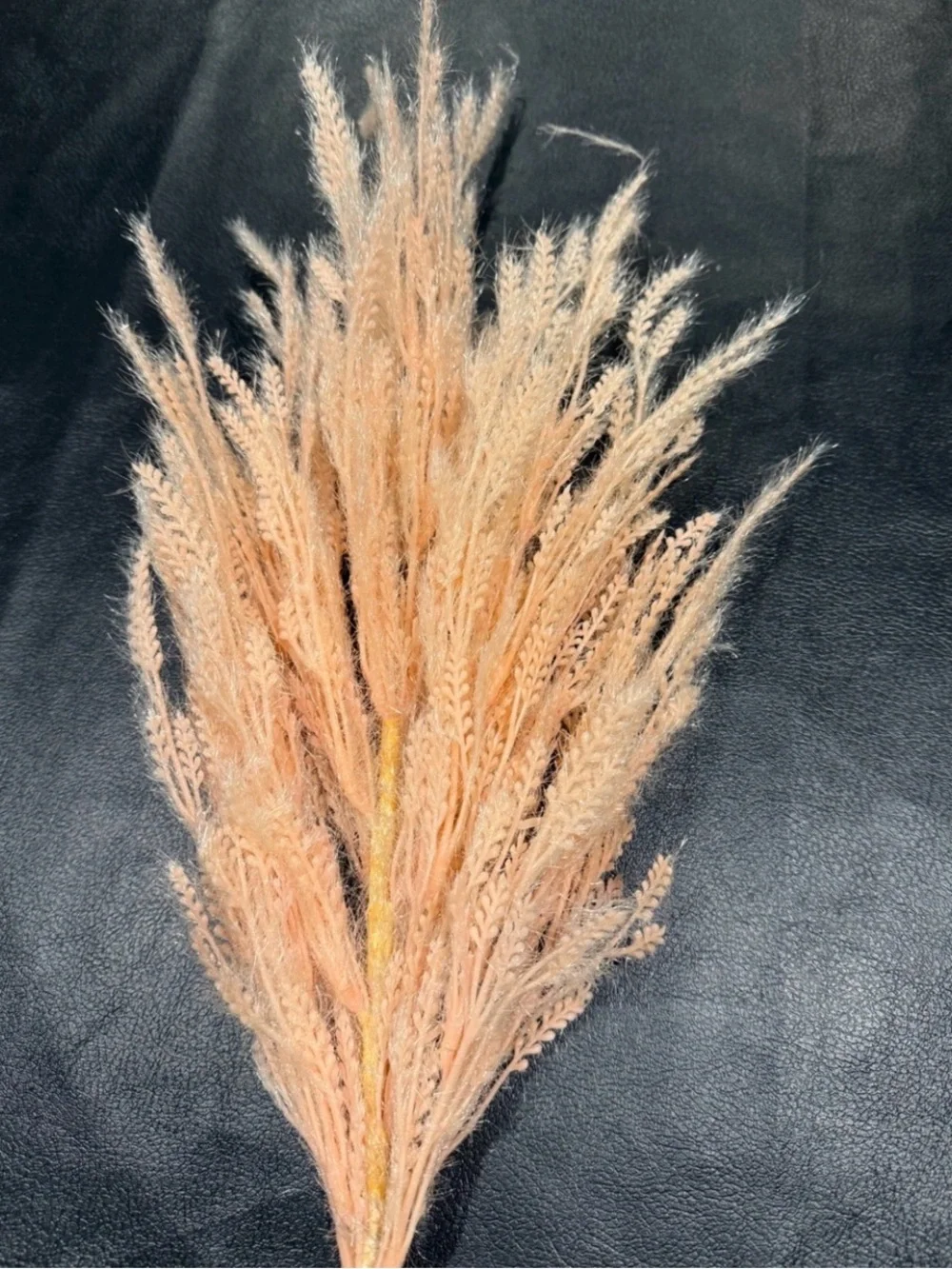 Threshold Dried Wheat Stem Bundle - Soft Peach Beige (Qty 3) 6 Stems Total! NWT